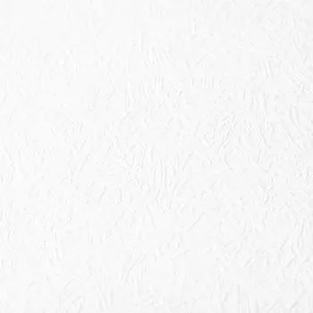 Обои виниловые на флизелиновой основе под покраску Палитра 4008-01