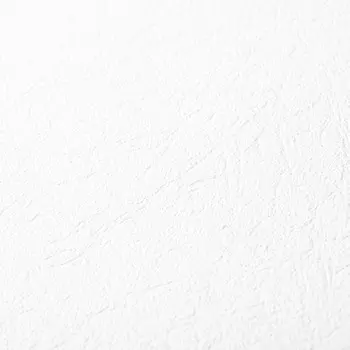 Обои виниловые на флизелиновой основе под покраску Палитра 3009-01