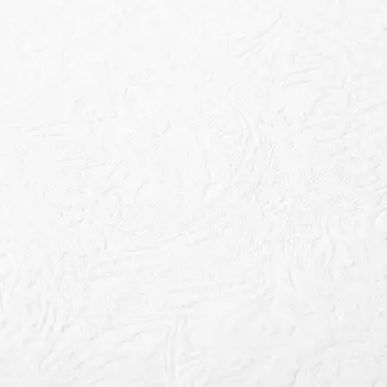 Обои виниловые на флизелиновой основе под покраску Палитра 3005-01