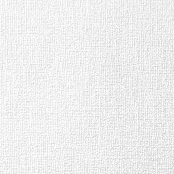 Обои виниловые на флизелиновой основе под покраску Палитра 3004-01