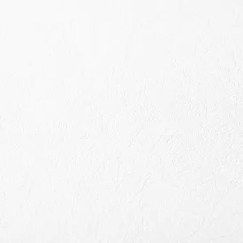 Обои виниловые на флизелиновой основе под покраску Палитра 4047-01