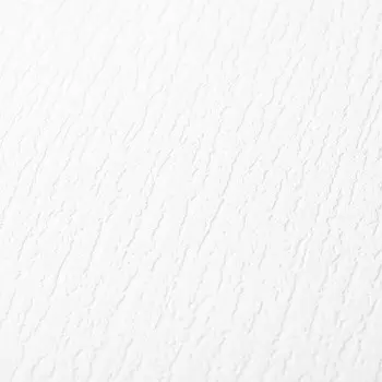 Обои виниловые на флизелиновой основе под покраску Палитра 4048-01