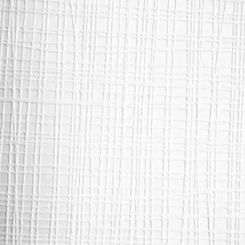 Обои виниловые на флизелиновой основе под покраску Practic Vlies BanD2006-25