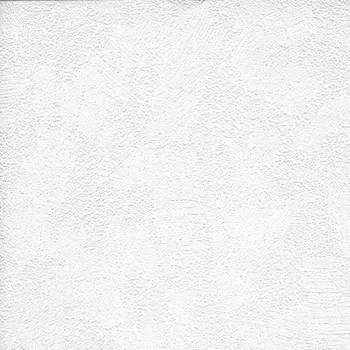 Обои виниловые на флизелиновой основе под покраску AS Creation Antivandal 5734-14