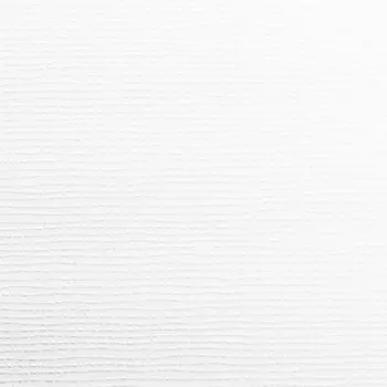 Обои виниловые на флизелиновой основе под покраску AS Creation Antivandal 2524-18