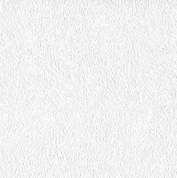 Обои виниловые на флизелиновой основе под покраску AS Creation Antivandal 5750-12
