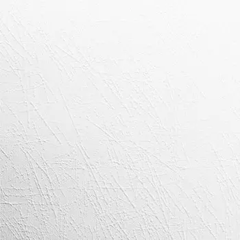 Обои виниловые на флизелиновой основе под покраску AS Creation Antivandal 5730-18