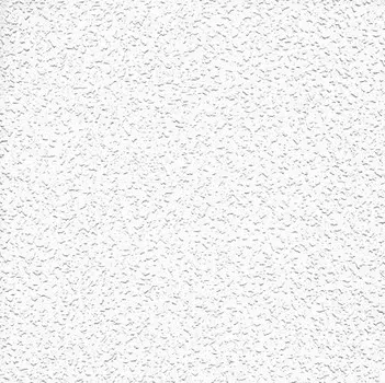 Обои виниловые на флизелиновой основе под покраску AS Creation Antivandal 5752-10