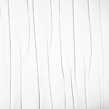 Обои виниловые на флизелиновой основе под покраску Marburg Patent Decor 1885