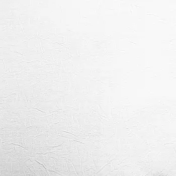 Обои виниловые на флизелиновой основе под покраску Marburg Patent Decor 9310