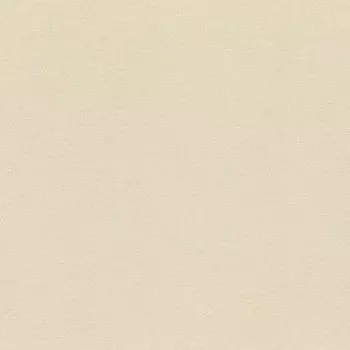 Обои виниловые на флизелиновой основе Rasch Chatelaine II 955729