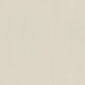 Обои виниловые на флизелиновой основе Rasch Hyde Park 411898