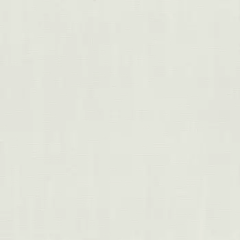 Обои виниловые на флизелиновой основе Rasch Hyde Park 411867