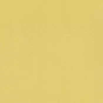 Обои виниловые на флизелиновой основе Rasch Hyde Park 411836