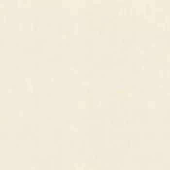 Обои виниловые на флизелиновой основе Rasch Magnolia 965001