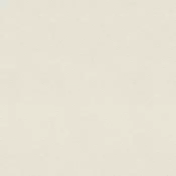 Обои виниловые на флизелиновой основе Rasch Vicenza 467109