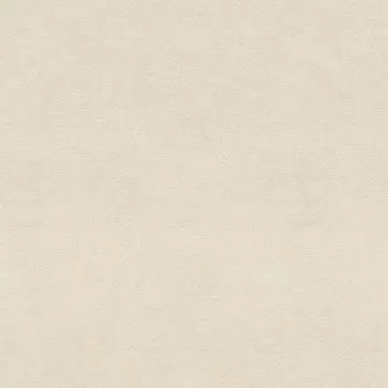 Обои виниловые на флизелиновой основе Rasch Vicenza 467147