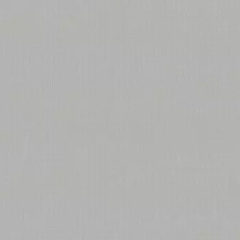 Обои виниловые на флизелиновой основе Victoria Stenova Оптима фон 998279