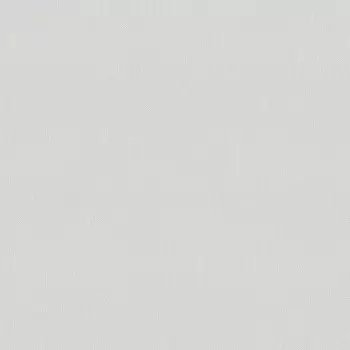 Обои виниловые на флизелиновой основе Victoria Stenova Оптима фон 998271