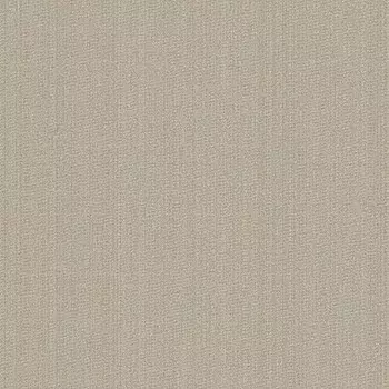 Обои виниловые на флизелиновой основе Victoria Stenova Фактура фон 984043