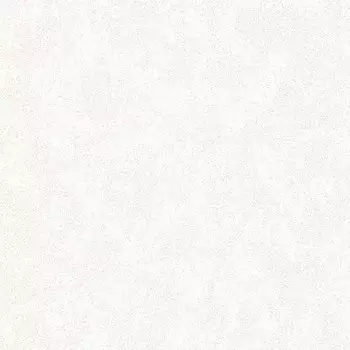 Обои виниловые на флизелиновой основе Victoria Stenova Алина фон 998632