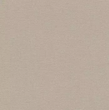 Обои виниловые Rasch Florentine 448566