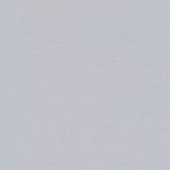 Обои виниловые Rasch Florentine 448597