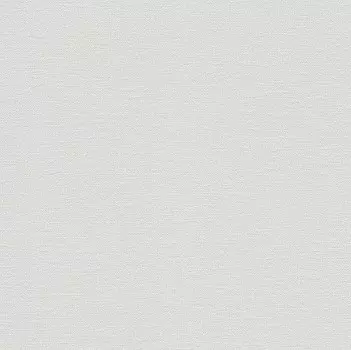 Обои виниловые Rasch Florentine 448603