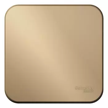 Переключатель накладной Schneider Electric Blanca BLNVA106014 одноклавишный с изолирующей пластиной титан