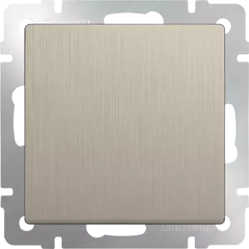 Переключатель встраиваемый Werkel WL10-SW-1G-2W одноклавишный проходной шампань рифленый