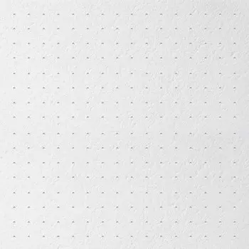 Плита потолочная Armstrong Graphis Puntos Microlook 600х600х17 мм