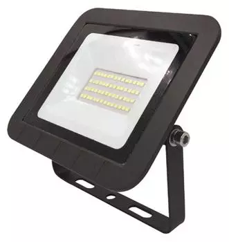 Прожектор светодиодный Эра LPR-061-0-65K-030