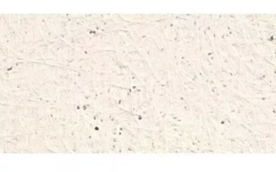 Rockfon Solut Board А24, 1200х600х15 мм, Плита потолочная