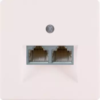 Розетка Berker Q.3компьютерная двойная RJ45 6-й кат. слоновая кость с эффектом бархата