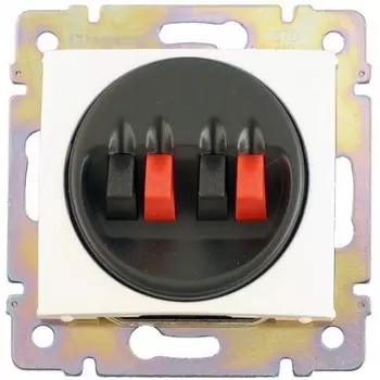 Розетка для динамиков двойная LeGrand Valena 774424 белая