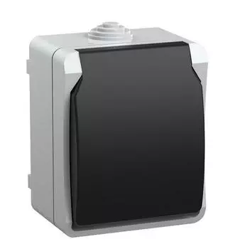 Розетка одноместная IEK Форс РСб20-3-ФСр ERS12-K03-16-54-DC