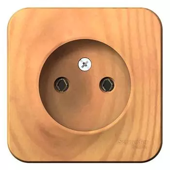 Розетка Schneider Electric Blanca BLNRA000115 одноместная без заземления с изолирующей пластиной ясень