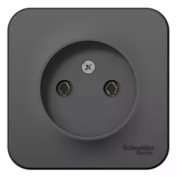 Розетка Schneider Electric Blanca BLNRA000116 одноместная без заземления с изолирующей пластиной антрацит