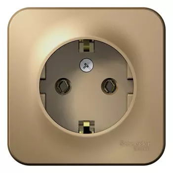 Розетка Schneider Electric Blanca BLNRA010114 одноместная с заземлением и изолирующей пластиной титан