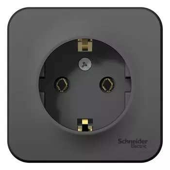 Розетка Schneider Electric Blanca BLNRA010116 одноместная с заземлением и изолирующей пластиной антрацит