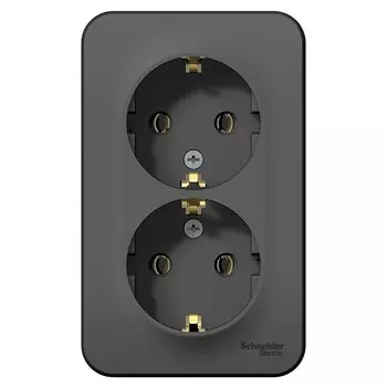 Розетка Schneider Electric Blanca BLNRA010216 двухместная с заземлением и изолирующей пластиной антрацит