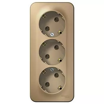 Розетка Schneider Electric Blanca BLNRA010314 трехместная с заземлением и изолирующей пластиной титан