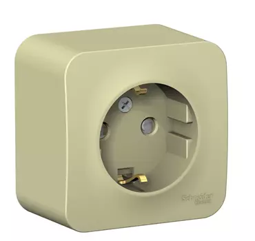 Розетка Schneider Electric Blanca BLNRA011117