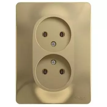 Розетка Schneider Electric Glossa GSL000420 двухместная без заземления титан