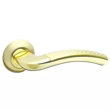 Ручка дверная Fuaro Intro RM SG/GP-4