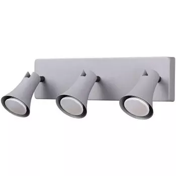 Спот Odeon Light Reanna 3825/3W серый GU10 3х50W 220V