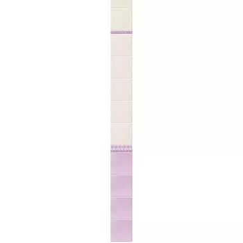 Стеновая панель ПВХ Novita фриз 3D Магнолия добор 2700х250 мм