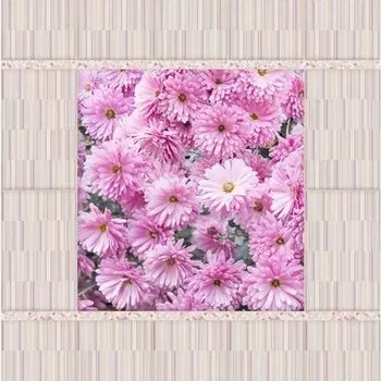 Стеновая панель ПВХ Век Сентябрины панно 2700х250 мм