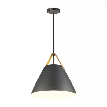 Светильник подвесной Odeon Light Berni 4148/1 черный Е27 40W