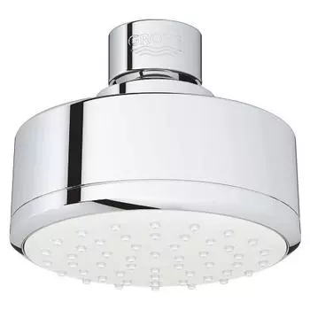 Верхний душ Grohe New Tempesta Cosmopolitan 100 26051001